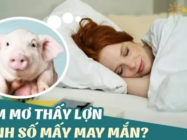 Giải Mã Giấc Mơ Thấy Heo Biến Thành Người
