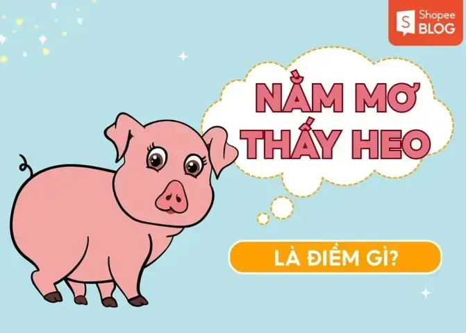 Giải Mã Giấc Mơ Thấy Heo Con