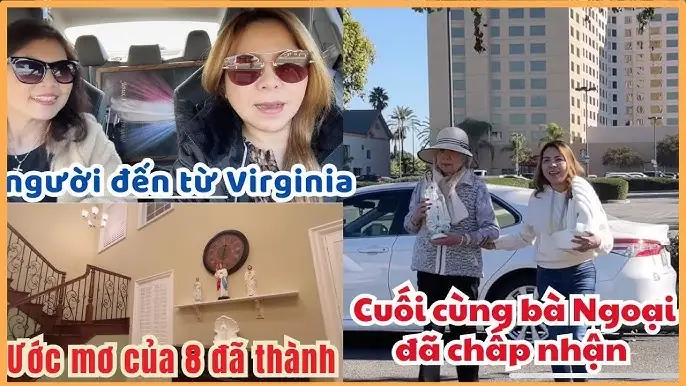 Giải Mã Giấc Mơ Thấy Heo Đất