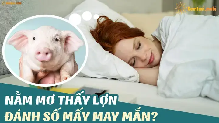 Giải Mã Giấc Mơ Thấy Heo Trắng