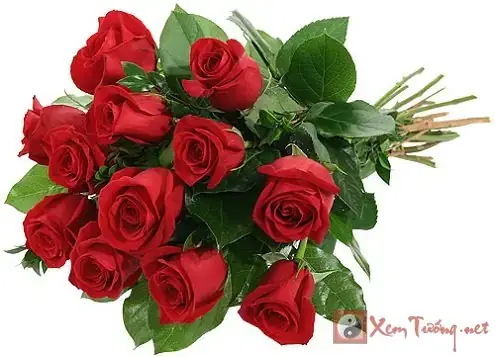 Giải Mã Giấc Mơ Thấy Hoa Hồng