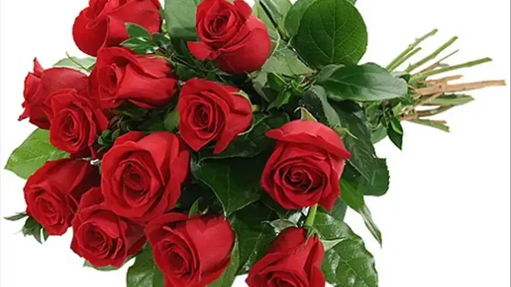 Giải Mã Giấc Mơ Thay Hoa Hồng Đỏ