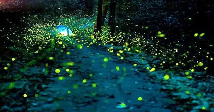 Giải Mã Giấc Mơ Thấy Khạc Ra Đờm Giải Mã Giấc Mơ Thấy Khạc Ra Đờm