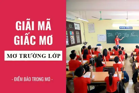 Giải Mã Giấc Mơ Thấy Lớp Học Đông Nguoi Giải Mã Giấc Mơ Thấy Lớp Học Đông Nguoi