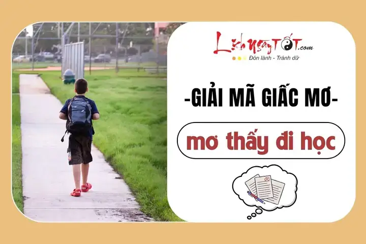 Giải Mã Giấc Mơ Thấy Lớp Học Đông Nguoi Giải Mã Giấc Mơ Thấy Lớp Học Đông Nguoi