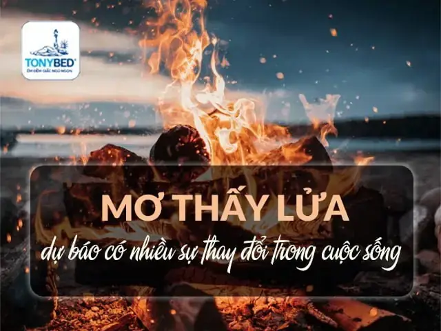 Giải Mã Giấc Mơ Thấy Lửa Cháy Trên Dây Điện