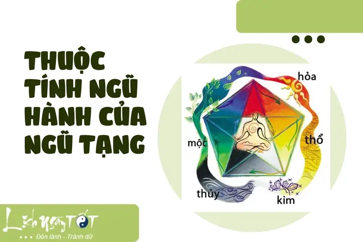 Giải Mã Giấc Mơ Thấy Lục Phủ Ngũ Tạng Giải Mã Giấc Mơ Thấy Lục Phủ Ngũ Tạng