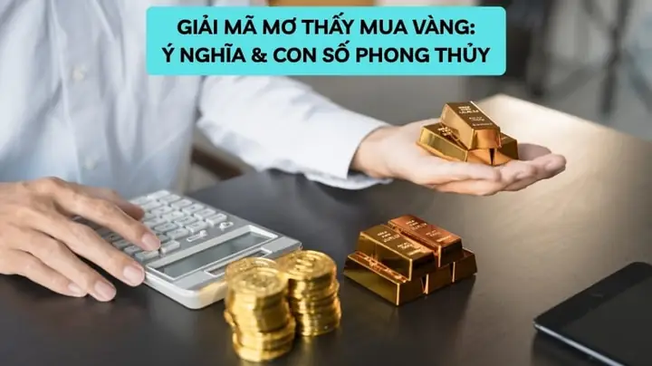 Giải Mã Giấc Mơ Thấy Lượm Tiền Xu Giải Mã Giấc Mơ Thấy Lượm Tiền Xu