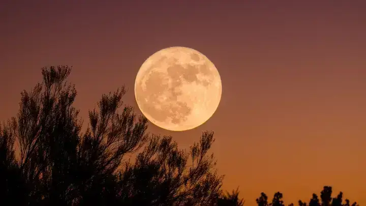 Giải Mã Giấc Mơ Thấy Mặt Trăng Nổ Giải Mã Giấc Mơ Thấy Mặt Trăng Nổ
