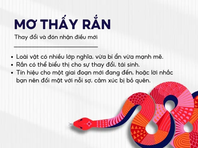 Giải Mã Giấc Mơ Thấy Nhiều Giac Mơ Giải Mã Giấc Mơ Thấy Nhiều Giac Mơ