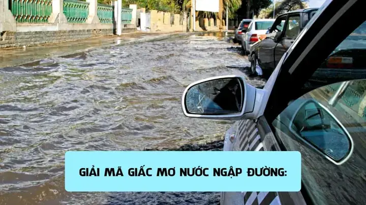 Giải Mã Giấc Mơ Thấy Nước Lũ Lớn