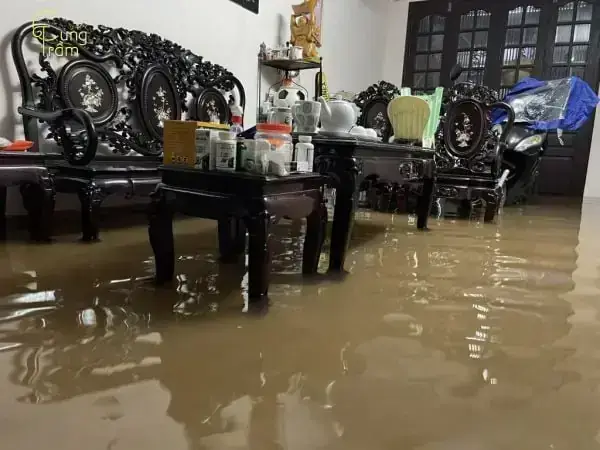 Giải Mã Giấc Mơ Thấy Nước Tràn Vào Nhà