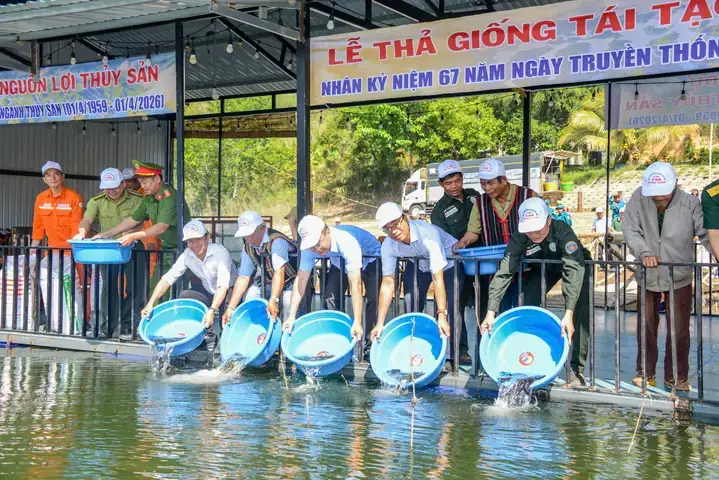 Giải Mã Giấc Mơ Thấy Nước Và Cá