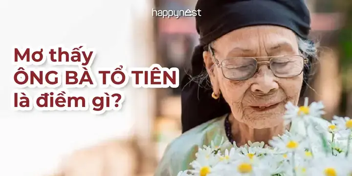 Giải Mã Giấc Mơ Thấy Ông Ngoại Quá Cố