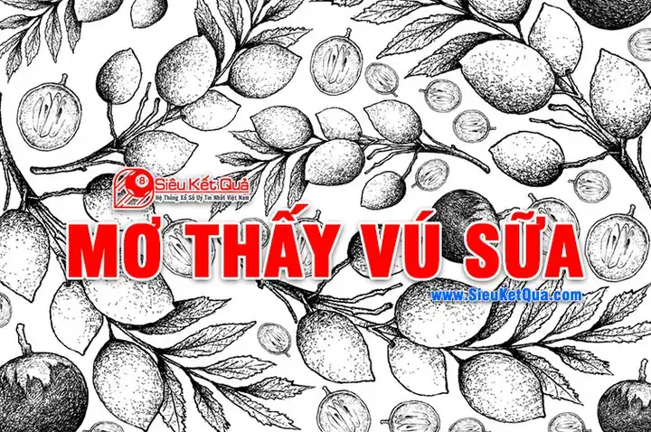 Giải Mã Giấc Mơ Thấy Quả Vú Sữa
