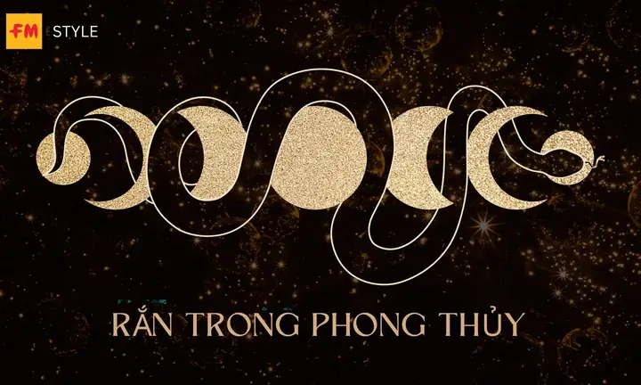 Giải Mã Giấc Mơ Thấy Rắn Hai Đầu