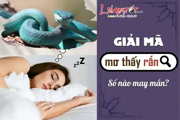 Giải Mã Giấc Mơ Thấy Rắn Khổng Lồ Giải Mã Giấc Mơ Thấy Rắn Khổng Lồ