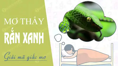 Giải Mã Giấc Mơ Thấy Rắn Mau Xanh