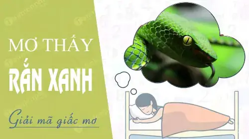 Giải Mã Giấc Mơ Thấy Rắn Màu Xanh