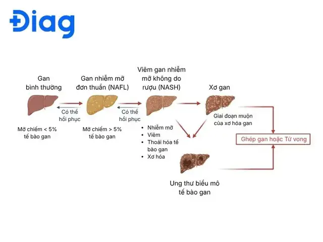 Giải Mã Giấc Mơ Thấy Thầy Cô Giáo Cũ
