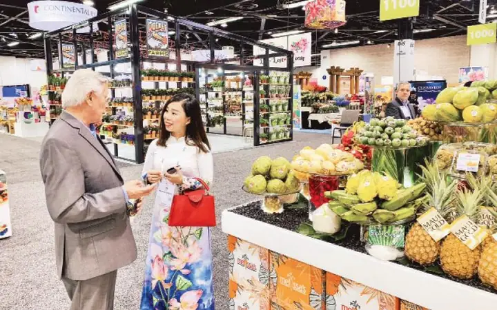 Giải Mã Giấc Mơ Thấy Thu Hoạch Ngô