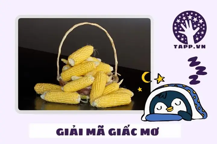 Giải Mã Giấc Mơ Thấy Thu Hoạch Ngô