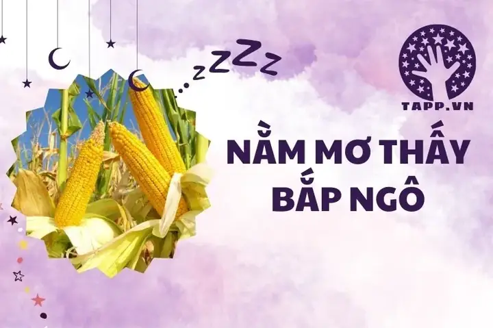 Giải Mã Giấc Mơ Thấy Thu Hoạch Ngô