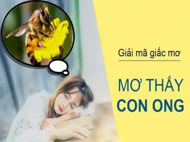 Giải Mã Giấc Mơ Thấy Tổ Ong Mật