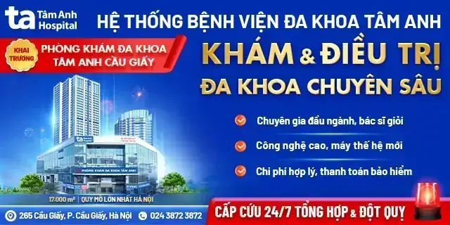 Giải Mã Giấc Mơ Thấy Trái Bưởi Rơi Xuống Người Giải Mã Giấc Mơ Thấy Trái Bưởi Rơi Xuống Người