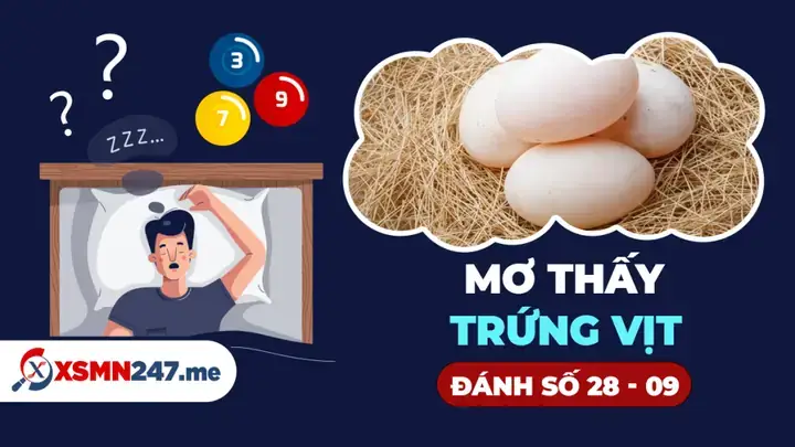 Giải Mã Giấc Mơ Thay Trung Vit Giải Mã Giấc Mơ Thay Trung Vit
