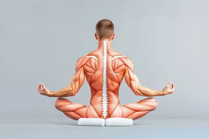 Giải Mã Giấc Mơ Về Giải Phẫu Người Giải Mã Giấc Mơ Về Giải Phẫu Người