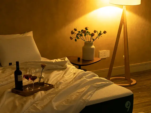 Gián Vào Phòng Ngủ La Điềm Gì Gián Vào Phòng Ngủ La Điềm Gì