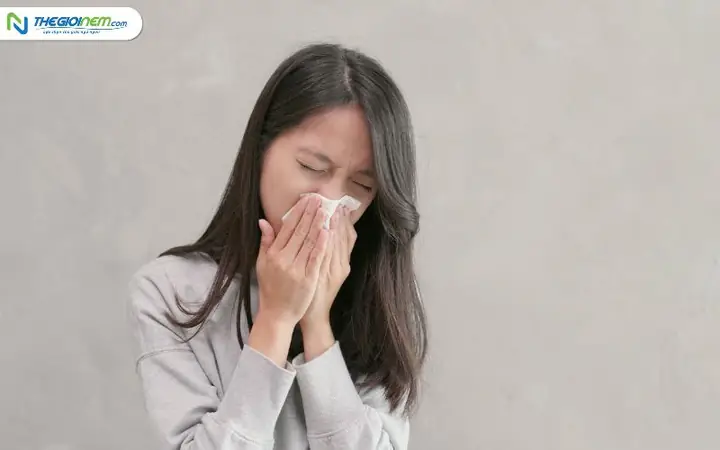 Hắt Xì 1 Cái La Điềm Gì