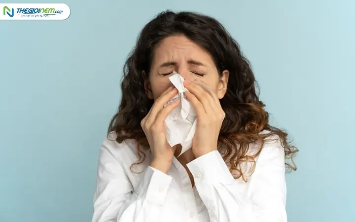 Hắt Xì 1 Cái La Điềm Gì