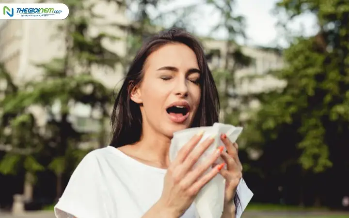 Hắt Xì 1 Cái La Điềm Gì