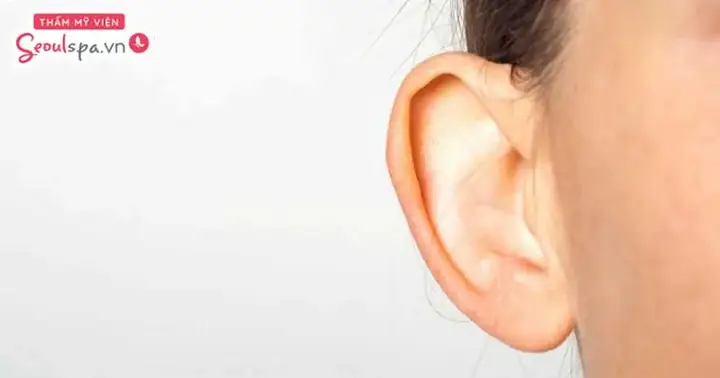 Hình Ảnh Tướng Tai Chuột