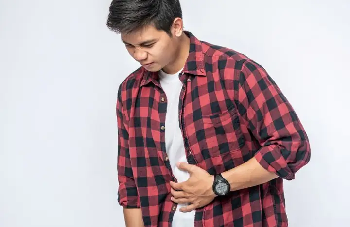 Lá Mơ Lông Với Mật Ong Có Tác Dụng Gì Lá Mơ Lông Với Mật Ong Có Tác Dụng Gì