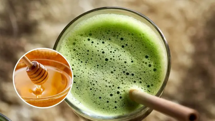 Lá Mơ Lông Với Mật Ong Có Tác Dụng Gì Lá Mơ Lông Với Mật Ong Có Tác Dụng Gì