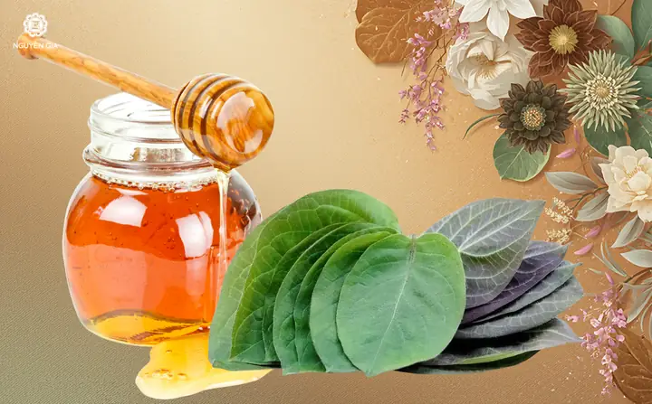 Lá Mơ Lông Với Mật Ong Có Tác Dụng Gì