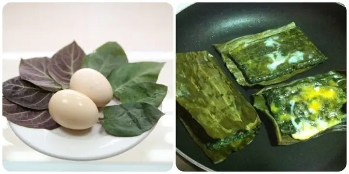 Lá Mơ Lông Với Trứng Gà Có Tác Dụng Gì