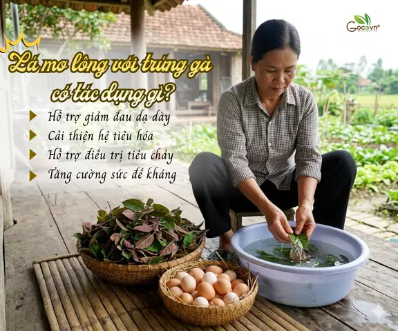 Lá Mơ Lông Với Trứng Gà Có Tác Dụng Gì