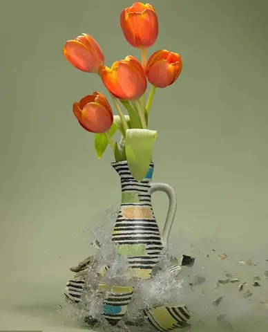 Làm Vỡ Bình Hoa La Điềm Gì