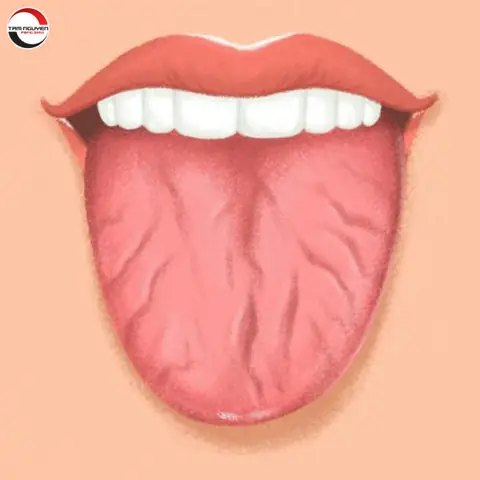 Lưỡi Chẻ Tướng Số Lưỡi Chẻ Tướng Số