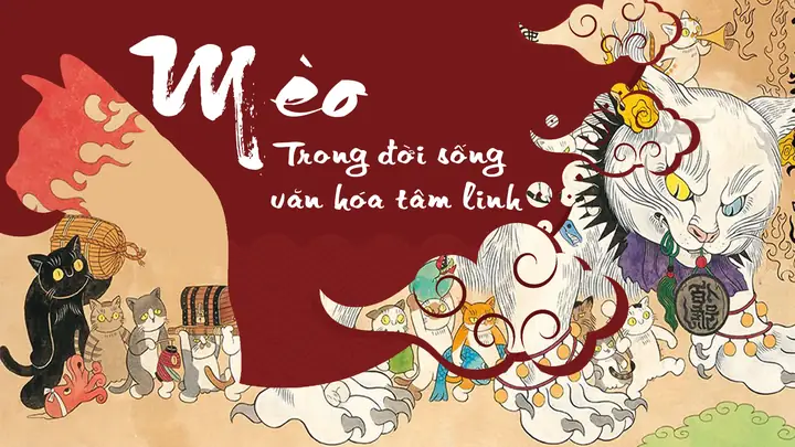 Mèo Đi Theo Người La Điềm Gì