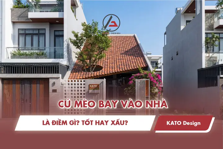 Mèo Ỉa Trong Nhà Điềm Báo Gì