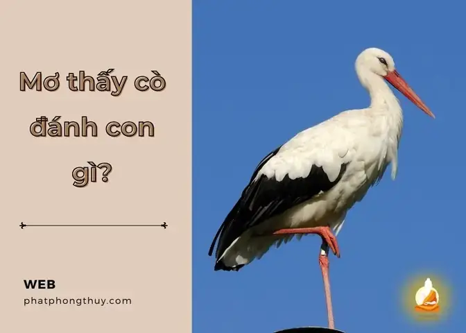 Mơ Bắt Được 2 Con Cò Đánh Đề Con Gì Mơ Bắt Được 2 Con Cò Đánh Đề Con Gì
