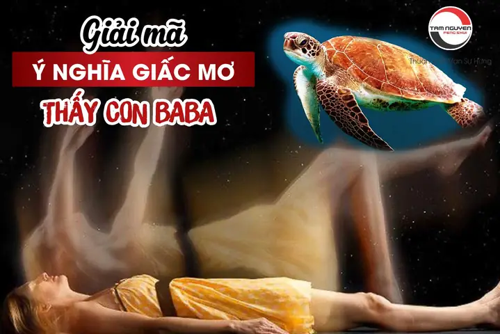 Mơ Làm Thịt Ba Ba Đánh Con Gì