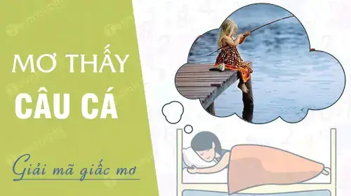 Mơ Ngủ Đi Câu Cá Đánh Đề Con Gì Mơ Ngủ Đi Câu Cá Đánh Đề Con Gì