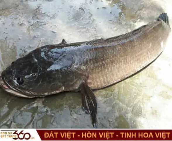 Mơ Nhặt Được Nhiều Tiền Điềm Báo Gì