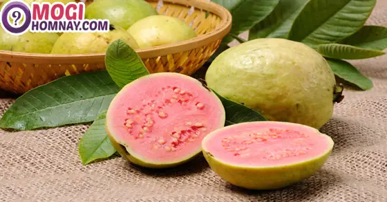 Mơ Thấy 2 Quả Ổi Đánh Con Gì Mơ Thấy 2 Quả Ổi Đánh Con Gì